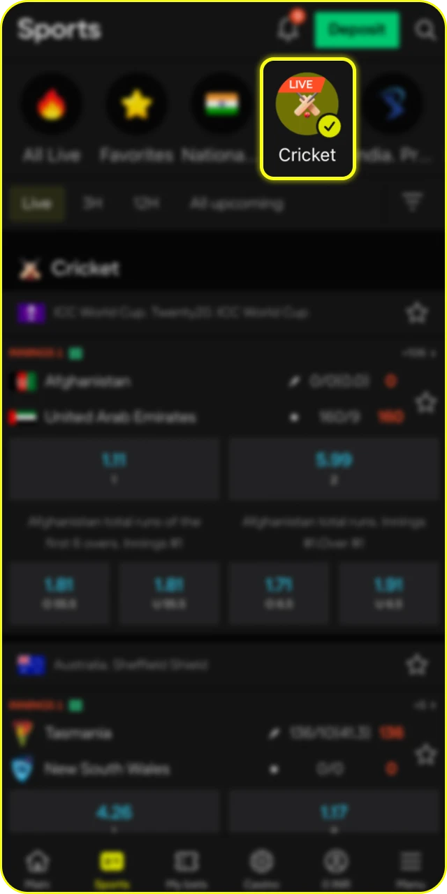 Open the cricket section on the official Parimatch betting site.